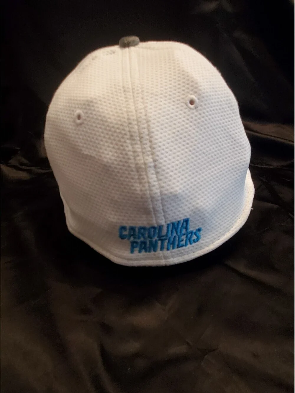 Panthers Nike Hat